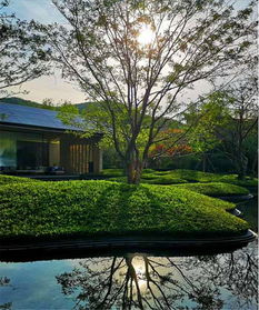 初見園林 佛山園林綠化設(shè)計施工 小學 市政 園林綠化養(yǎng)護