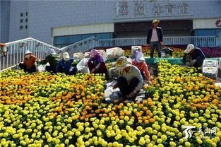 市政園林工程施工技術(shù)難點(diǎn)及其應(yīng)對(duì)措施 深圳市政園林綠化技巧培訓(xùn)