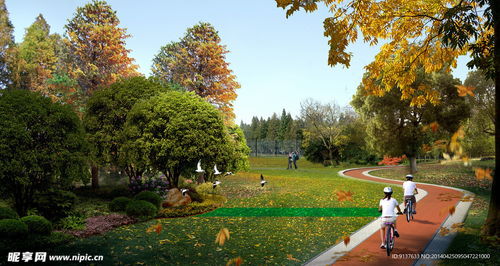 公園低碳騎行海報(bào)設(shè)計(jì)圖 psd分層素材 psd分層素材