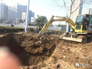 取消園林綠化施工資質(zhì),如何加強園林企業(yè)資質(zhì)管理