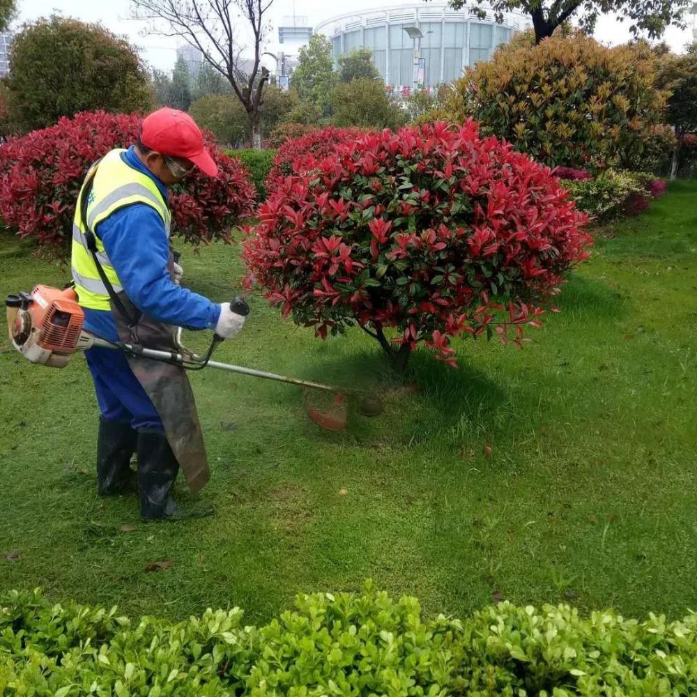 綠化養(yǎng)護-園林綠化-景觀設計-廣東怡軒園林環(huán)境工程