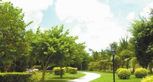 建設規(guī)劃中,工業(yè)用地的綠地率一般規(guī)定為多少