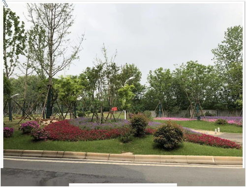 兩金 兩銀 武漢園建斬獲4項武漢市園林綠化優(yōu)質工程獎