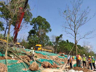 如何加強(qiáng)園林綠化工程施工現(xiàn)場的管理要點(diǎn)?