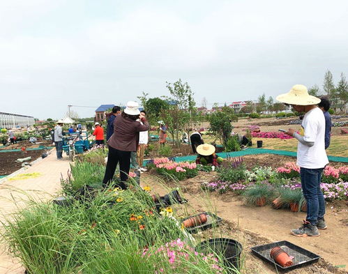 新版 園林綠化工程施工合同示范文本 明年1月1日起試行