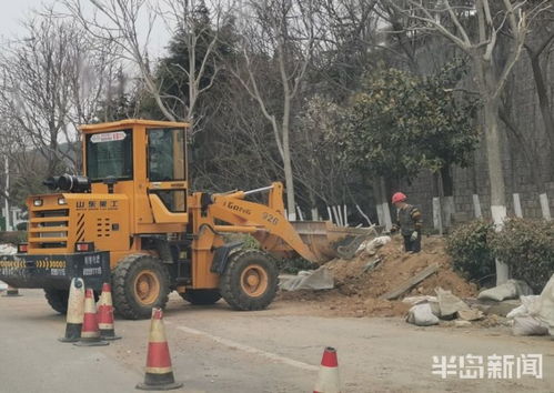 青島市區園林綠化工程有序復工，施工人員忙碌建設美麗家園